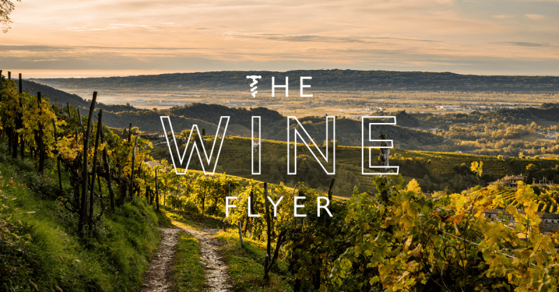 The Wine Flyer logo overlaid on a vineyard (1)